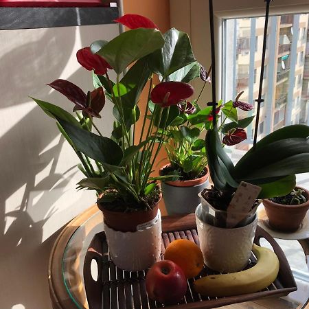 Апартаменти Attico Chez Renee Аоста Екстер'єр фото