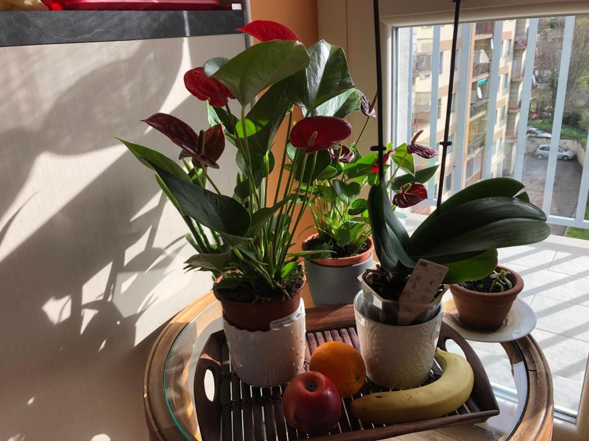 Апартаменти Attico Chez Renee Аоста Екстер'єр фото